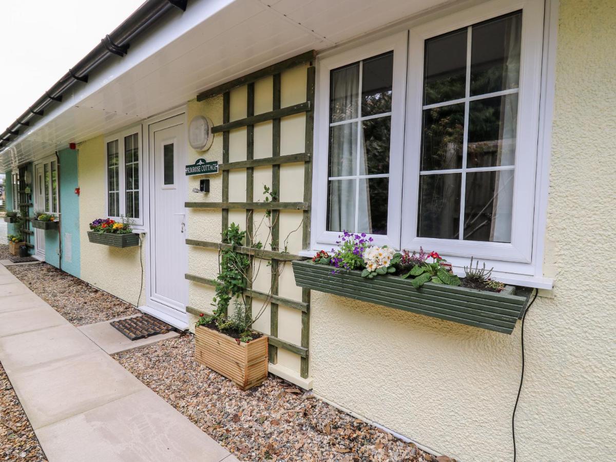 Primrose Cottage Llandrindod Wells Extérieur photo